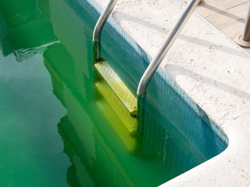 Green to Clean Pool Cleaning in Scottsdale, AZ