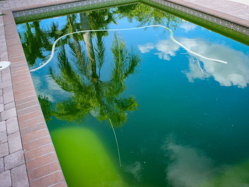 Green to Clean Pool Service in Scottsdale, AZ
