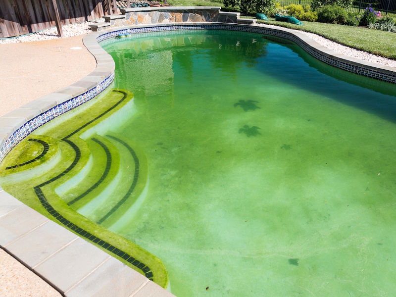Green to Clean in Scottsdale, AZ