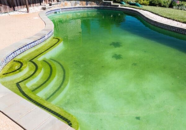 Green to Clean in Scottsdale, AZ